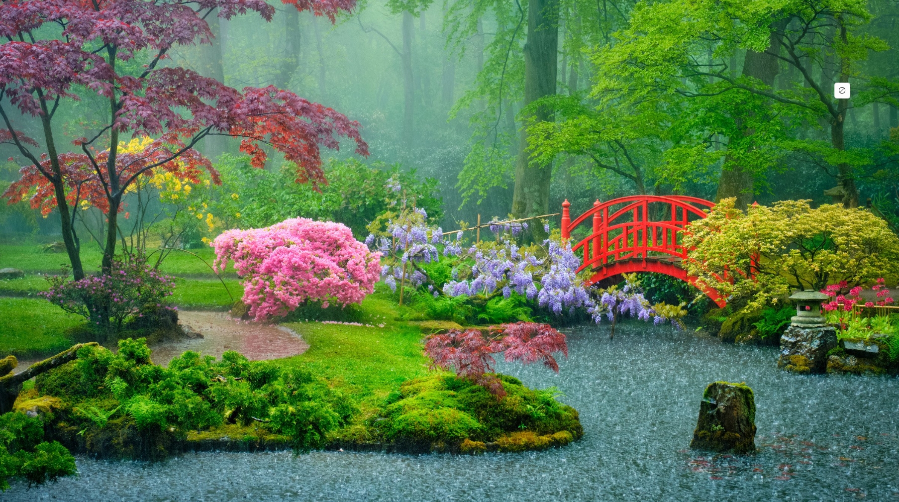 Jardin japonais idéal