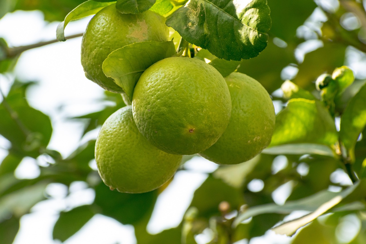 Acide citrique utilisation : astuces pour tout nettoyer