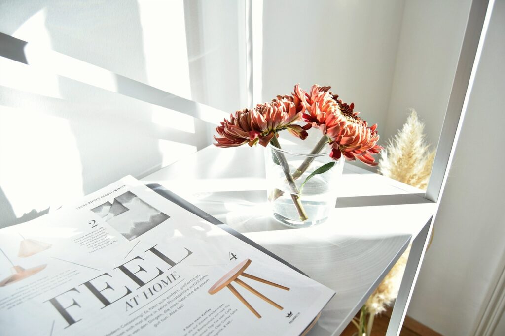 Dolum magazine : découvrez toutes les actus tendances